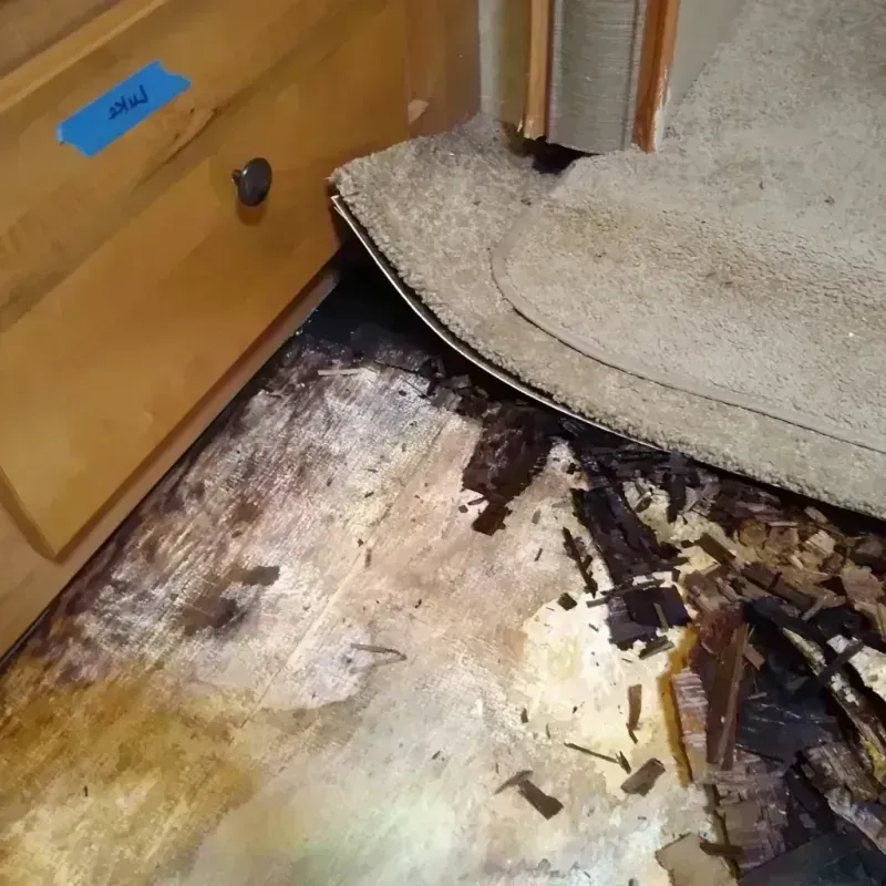 Wood Floor Water Damage in Bethalto, IL